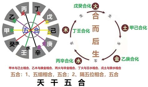 天干沖剋|天乾的相生、相剋、相合、相衝關係；以及天乾的五行。